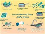 Why Blanching Vegetables Before Freezing?
