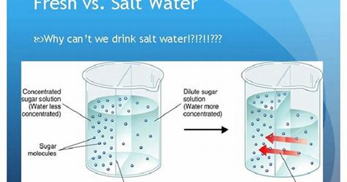 Why Did Bond Drink Salt Water?