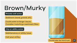 Why Did My Bleach Water Turn Brown?