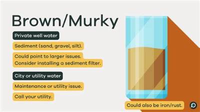 Why Did My Bleach Water Turn Brown?