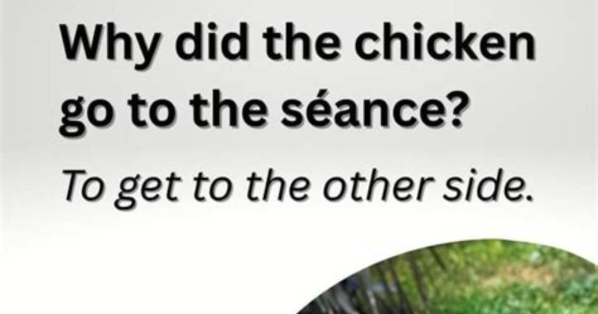 Why Did The