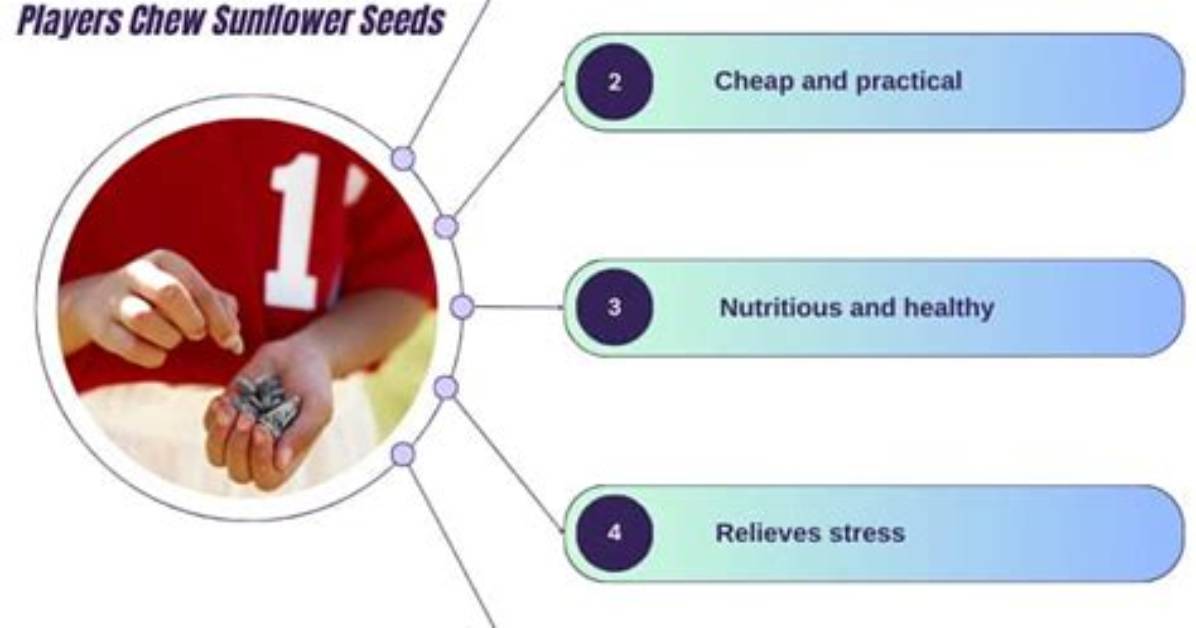 Why Do Baseball Players Chew Sunflower Seeds?