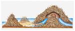 Why Do Beavers Make Dams?