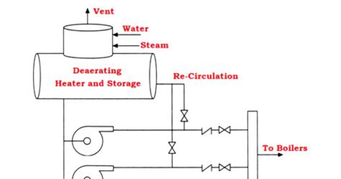 Why Do Bottom Feed Water