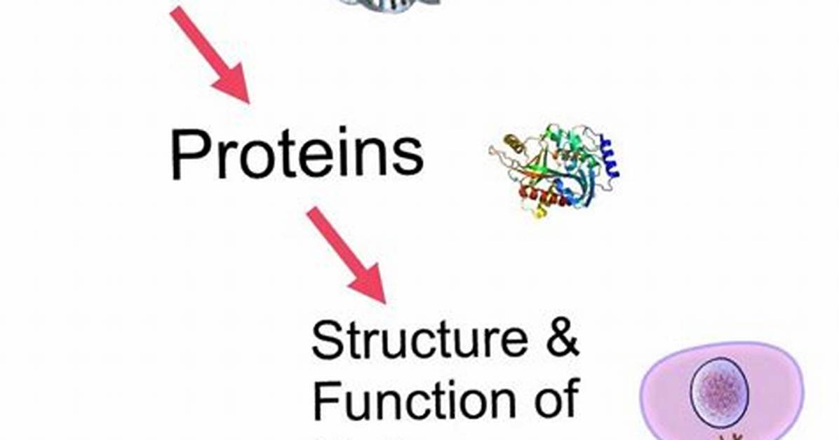 Why Do Cells Specialize - Lisbd-Net. Com