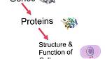Why Do Cells Specialize - Lisbd-Net. Com