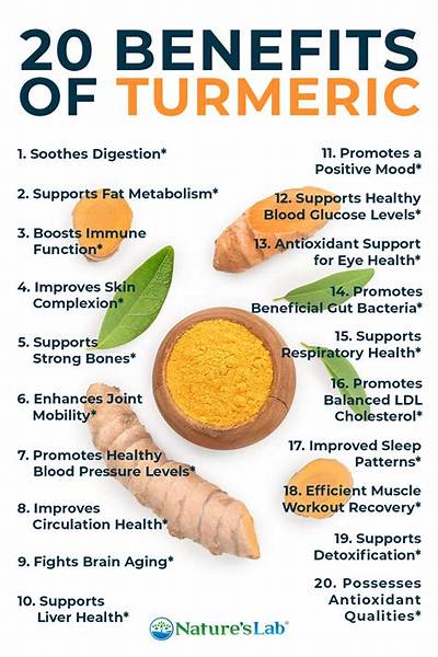 Why Do Guys Take Turmeric?