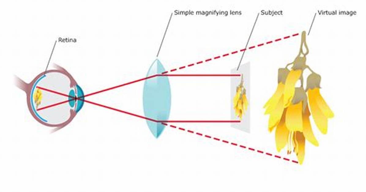 Why Do Lenses Magnify?