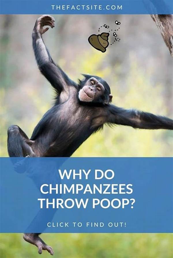 Why Do Monkeys Throw Poop?