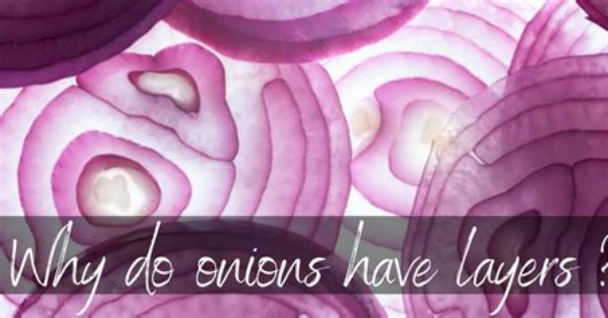 Why Do Raw Onions Spark in the Microwave?