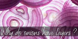 Why Do Raw Onions Spark in the Microwave?