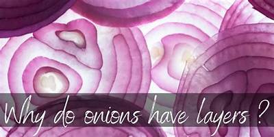 Why Do Raw Onions Spark in the Microwave?