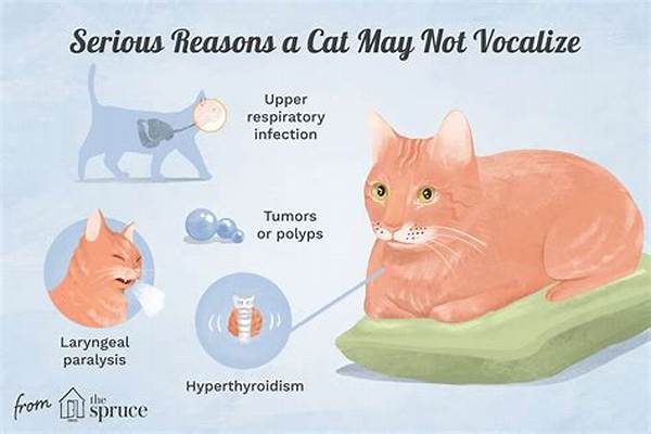 Why Do Some Cats Not Meow?