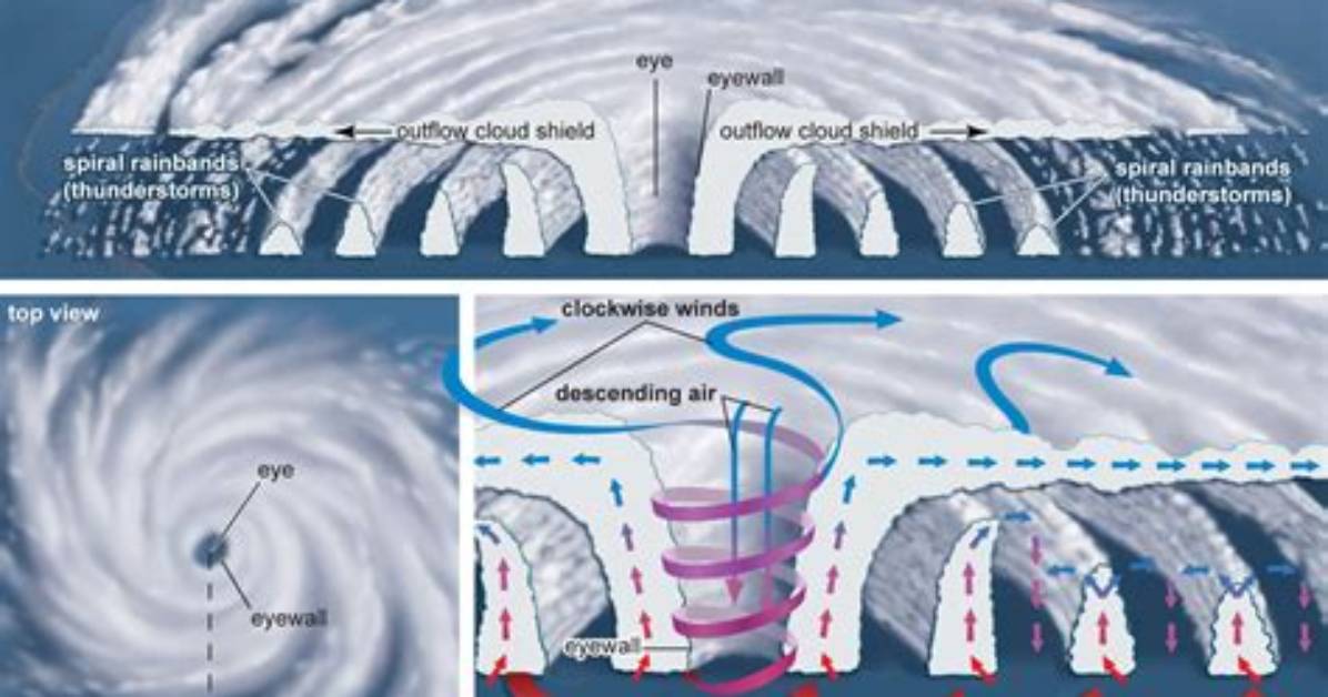 Why Do Tropical Cyclones Rotate