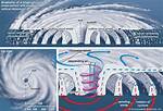 Why Do Tropical Cyclones Rotate
