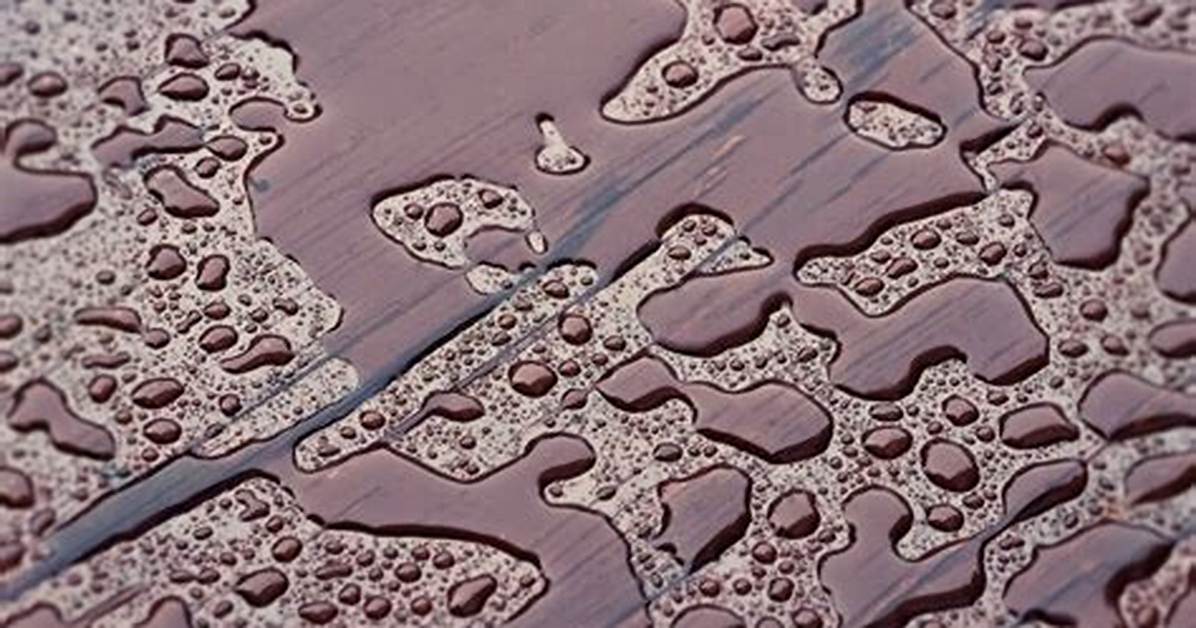 Why Do Wet Objects Normally Look Darker Than the Same Objects When Dry?