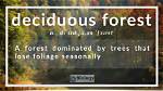 Why Does a Deciduous Forest Have a Variety of Habitats