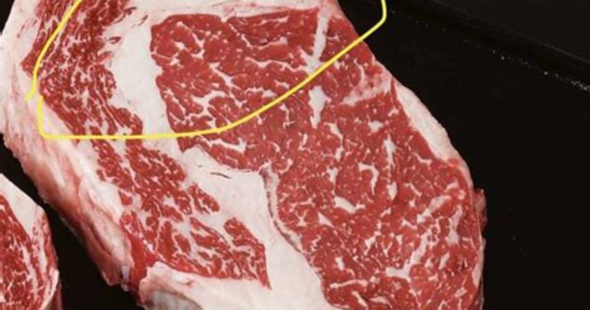 Why Does Meat Have Gristle?