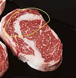 Why Does Meat Have Gristle?