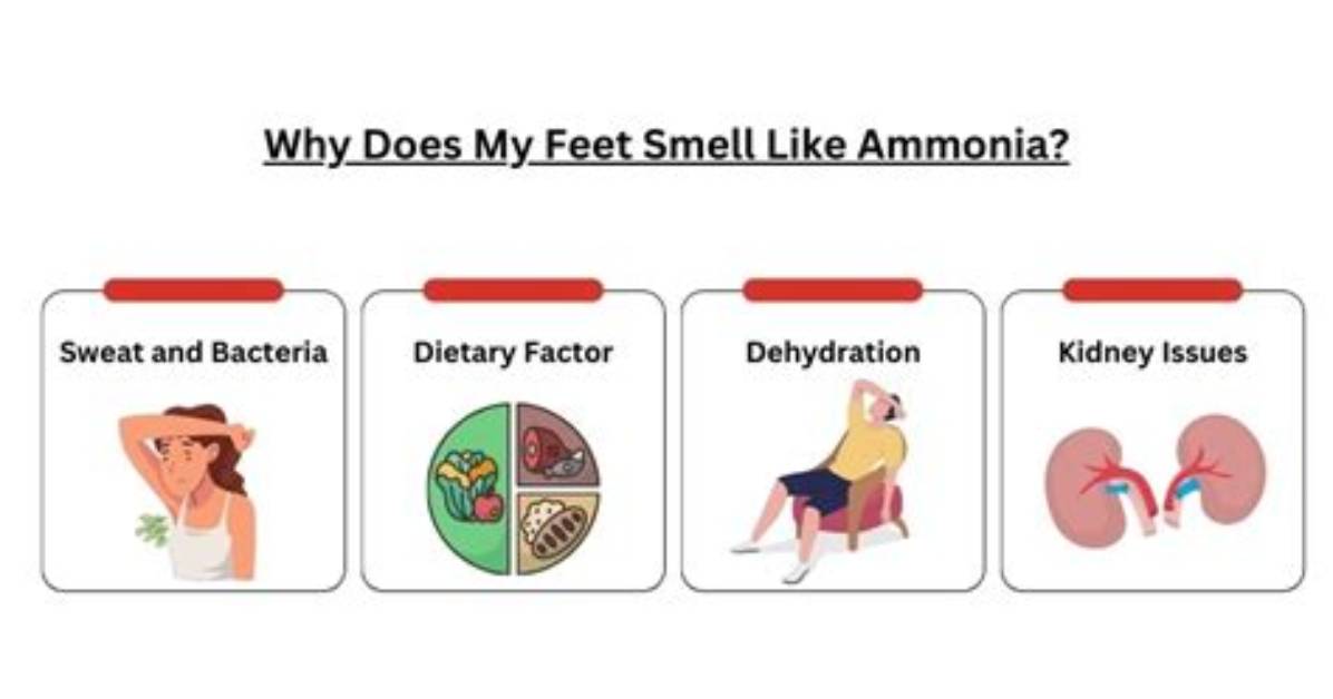 Why Does My Bed Smell Like Ammonia?