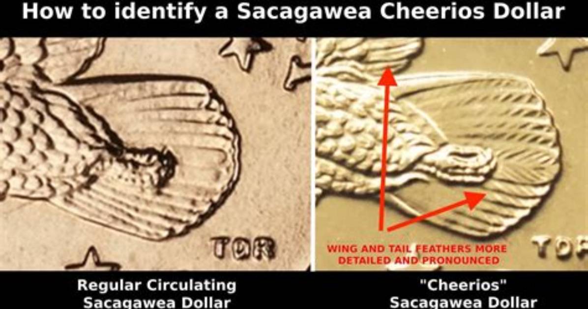 Why Does My Sacagawea Dollar Not Have a Date?