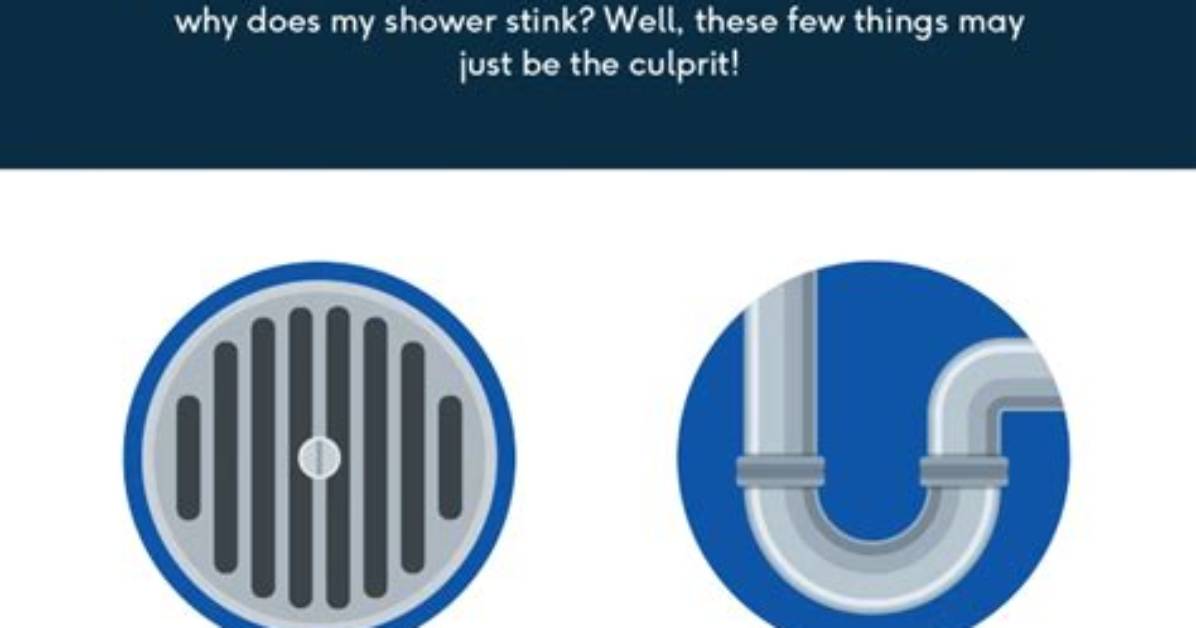 Why Does My Shower Drain Smell Like Cat Pee?