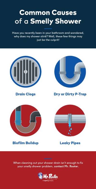 Why Does My Shower Drain Smell Like Cat Pee?