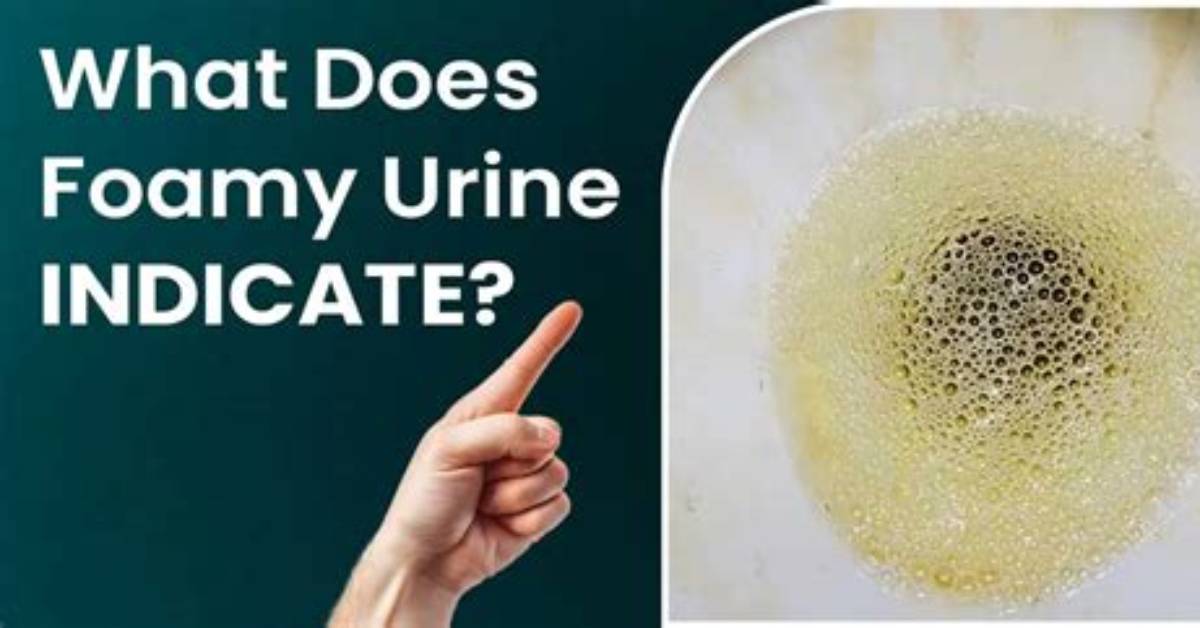 Why Does My Urine Cause Mold in Toilet?