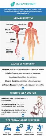Why Does Nerve Damage Take So Long to Heal?