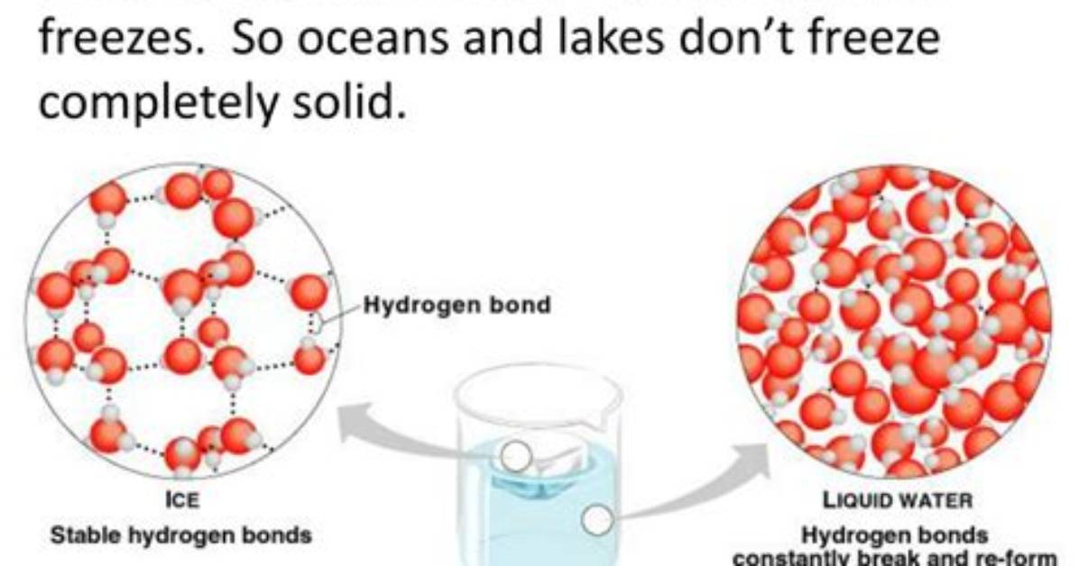 Why Does Water Expand on Freezing