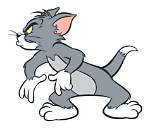 Why Is a Cat Called a Tom Cat?