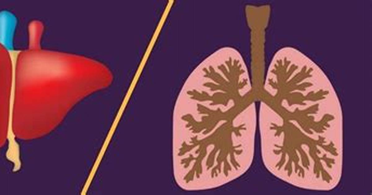 Why Is Beef Lung Illegal in the Us?