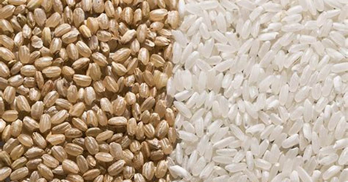 Why Is Brown Rice More Points Than White Rice?