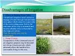 Why Is Excessive Irrigation Harmful to the Crops?