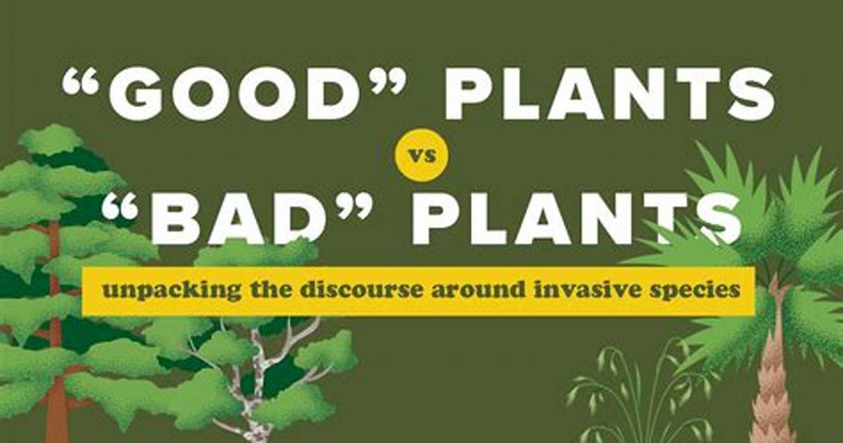 Why Is It Bad to Have Plants in Your Bedroom?