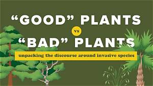 Why Is It Bad to Have Plants in Your Bedroom?
