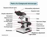 Why Is It Called a Compound Microscope
