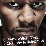 Why Is Look What the Cat Dragged in?