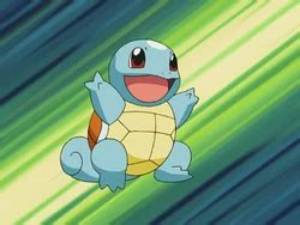 Why Is May's Squirtle So Small?