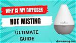 Why Is My Anjou Diffuser Not Working?