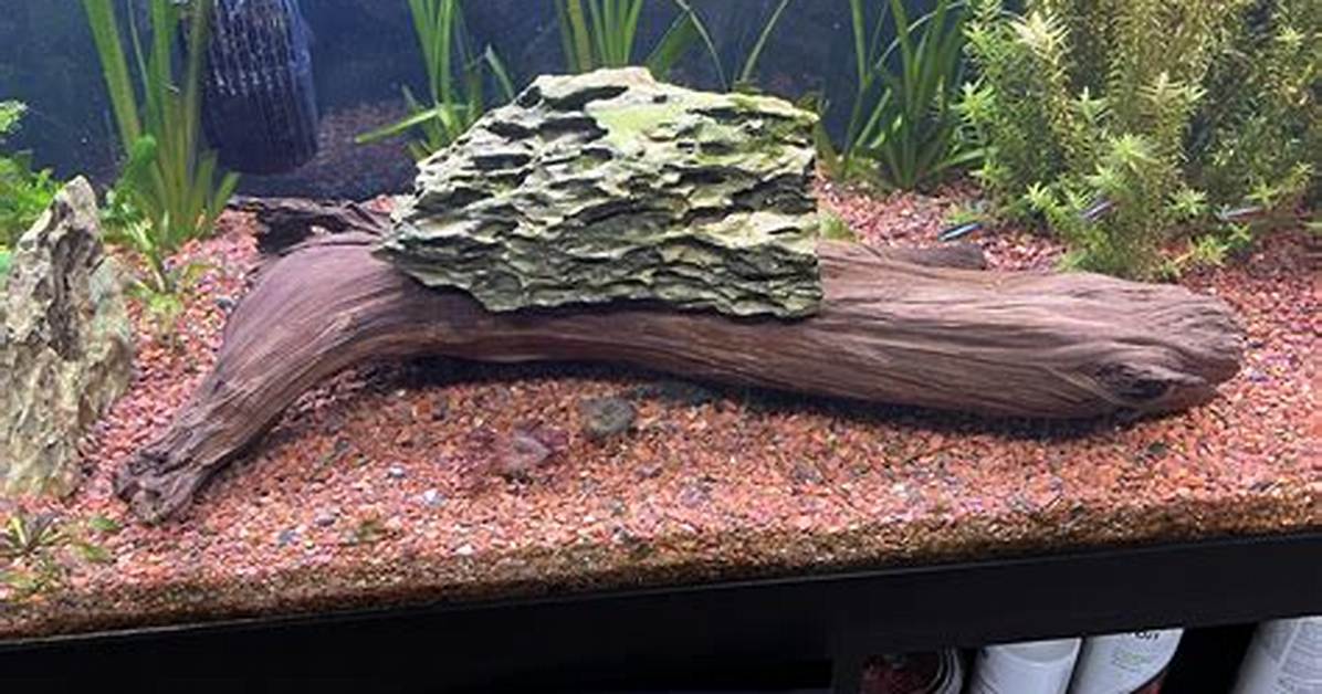 Why Is My Driftwood Floating?