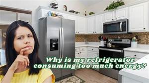 Why Is My Fridge Consuming Too Much Electricity?