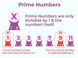 Why Is Prime Numbers Even?
