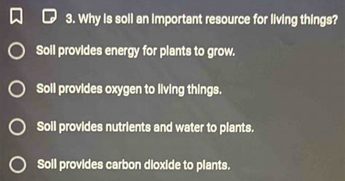 Why Is Soil Important to Living Things