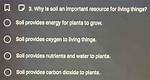 Why Is Soil Important to Living Things