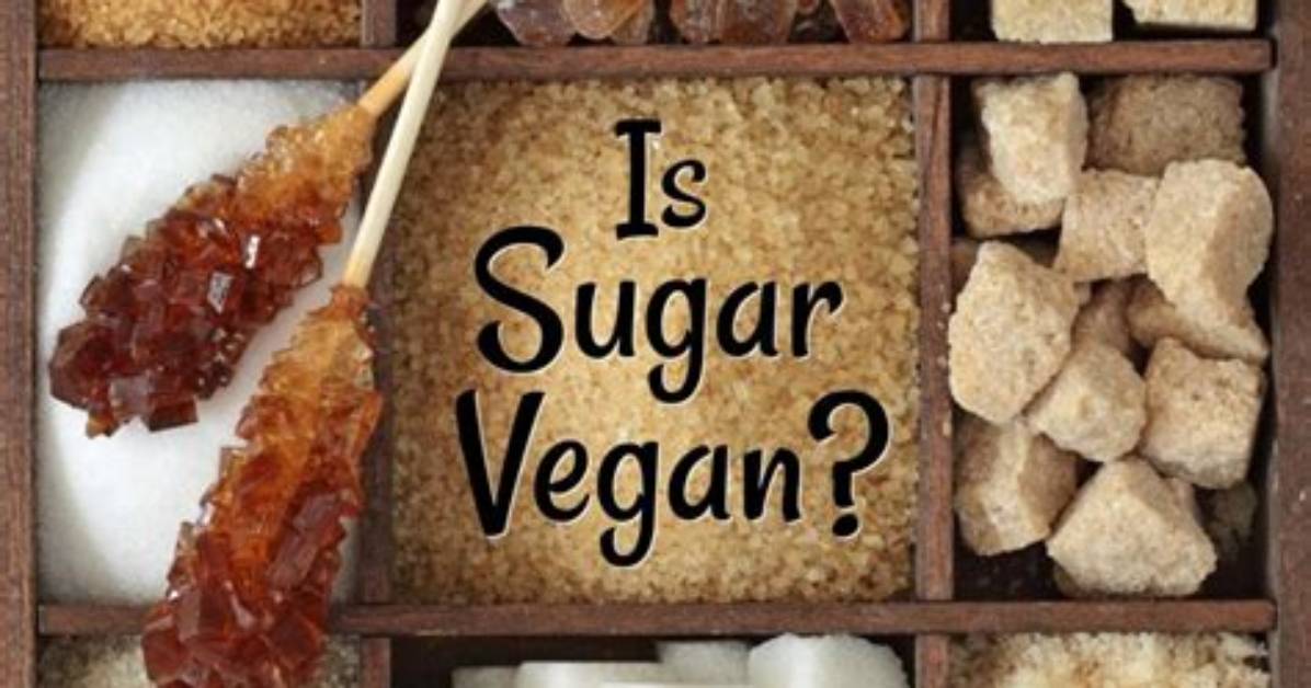 Why Is Sugar Not Vegan?