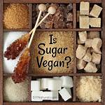 Why Is Sugar Not Vegan?