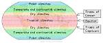 Why Is the Equator's Climate the Same Throughout the Year?