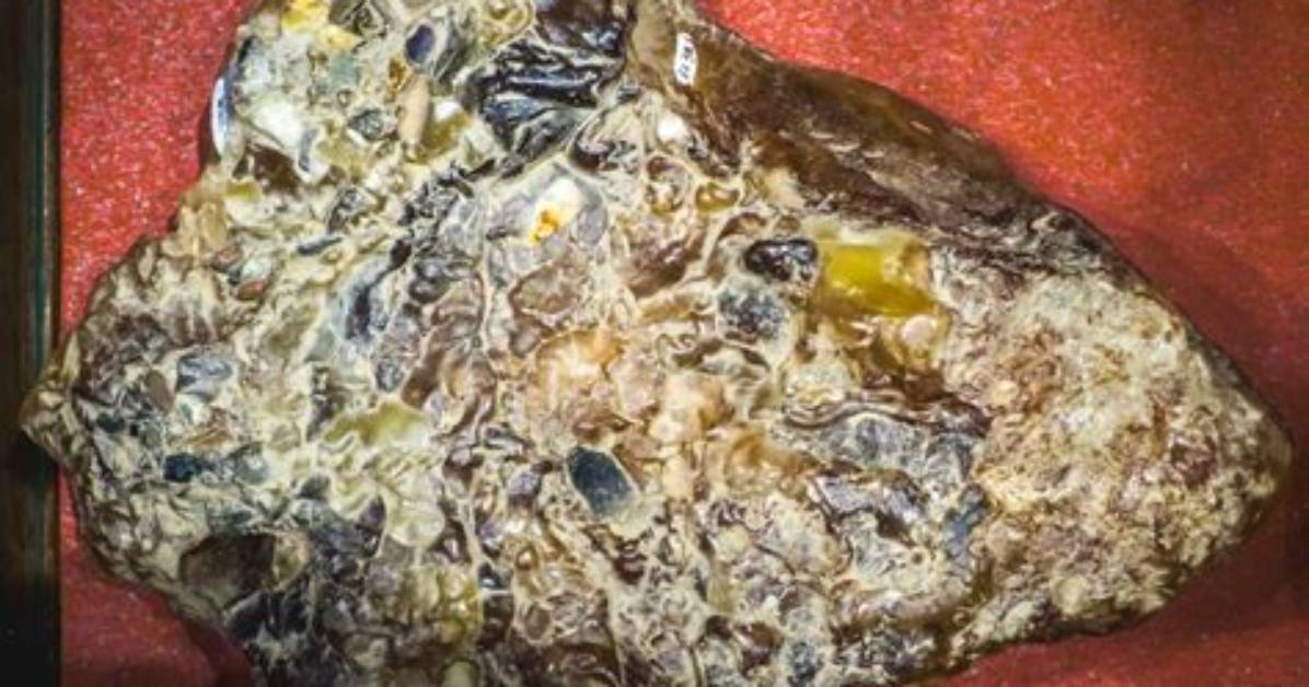 Why Is Whale Vomit So Expensive?