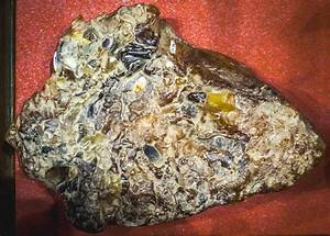 Why Is Whale Vomit So Expensive?